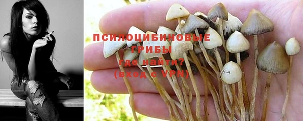 mix Абинск